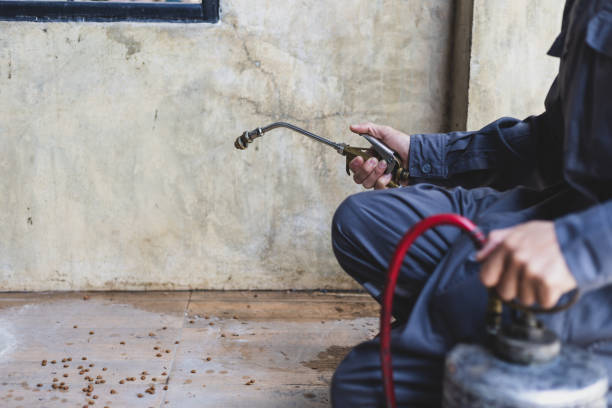 Best Wasp Removal Services  in Grant Park, IL