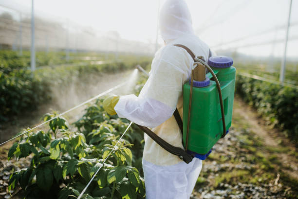 Reliable Grant Park, IL Pest Control Solutions